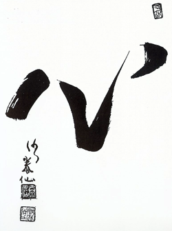 Shin